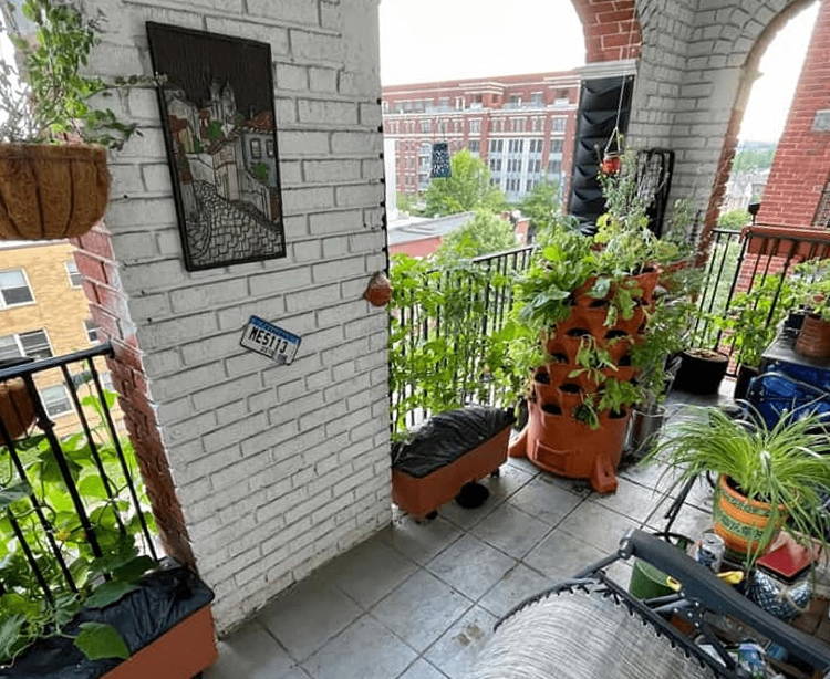 City apartment balcony utilizing EarthBox planting boxes for sustainable gardening