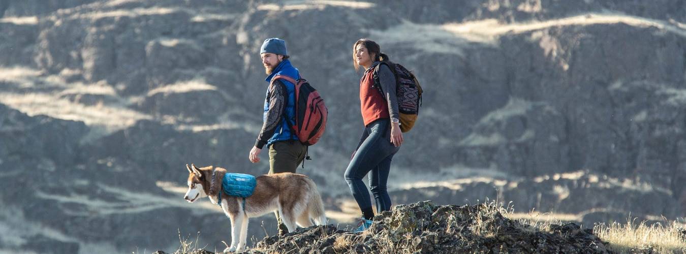 Two hikers on a mountain top with their dog