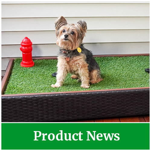 Porch Potty Dog Litterbox Product News