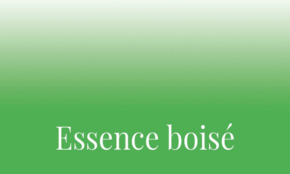 Image de la gamme Essence boisée de la collection Ambiance Dans un Jardin