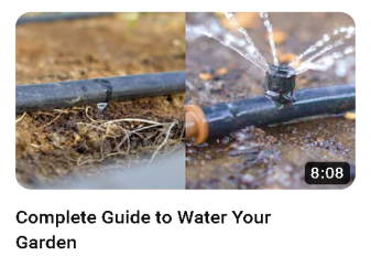 Complete Guide to Water Your Garden