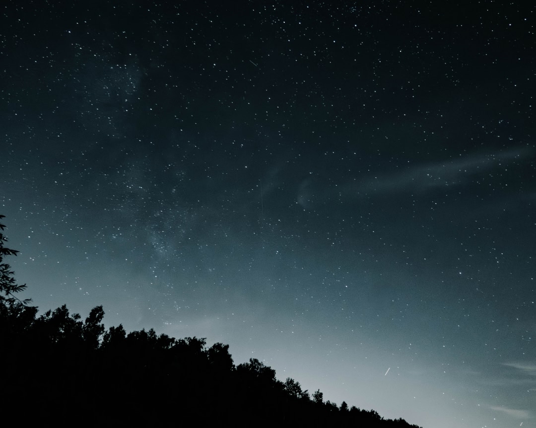 Starry night sky with silhouette of trees at the horizon.