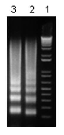 assay genie