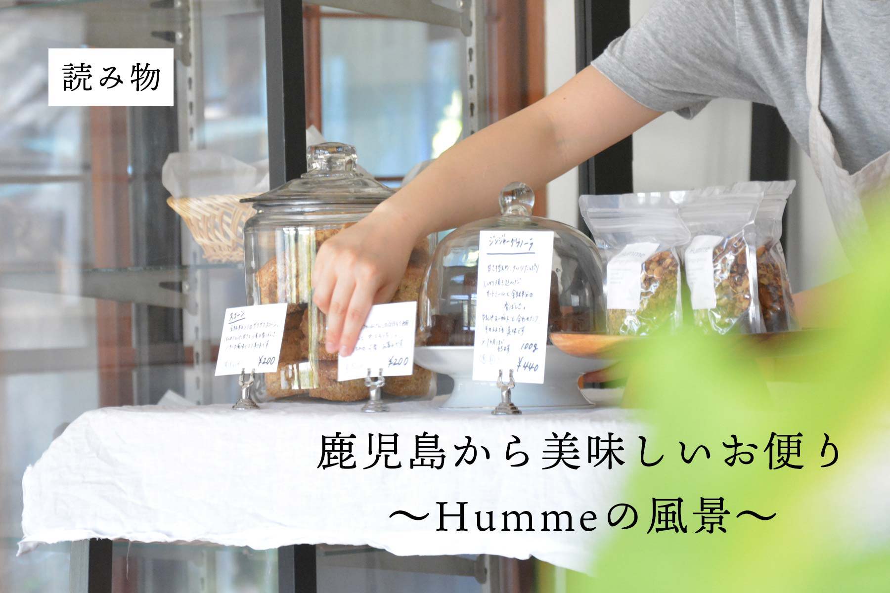 読み物