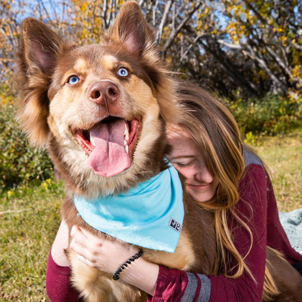 Girl hugging a happy brown dog with blue eyes and a blue bandana.