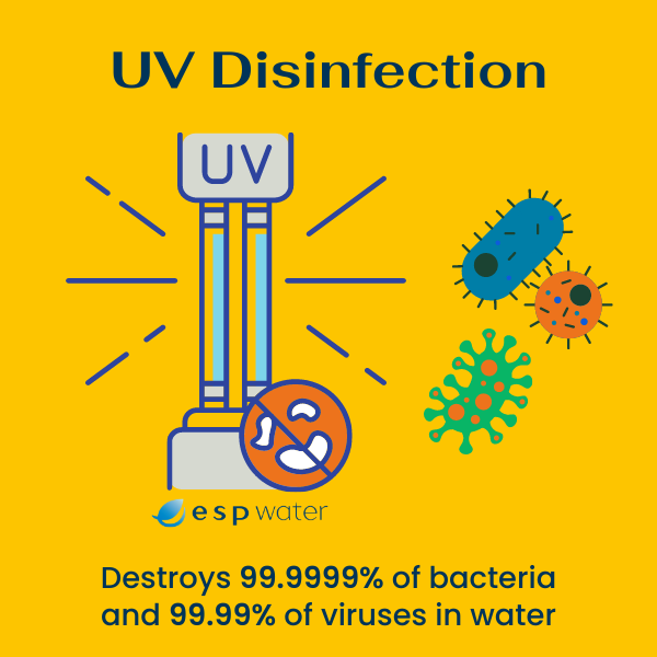 UV sterilizers remove viruses and bacteria from water