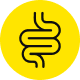 Icon of a stylized intestine on a yellow background.