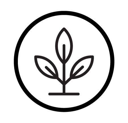 Clean ingredients for clean fragrances