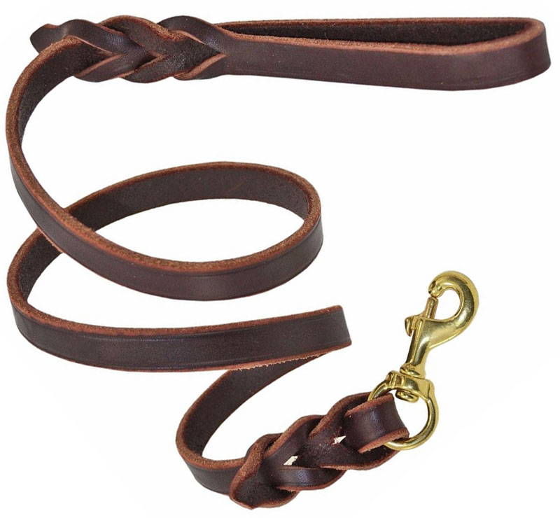 Leather leash with bolt snap