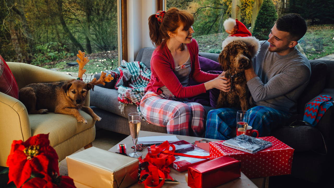 Freestyle pet Christmas photos with family