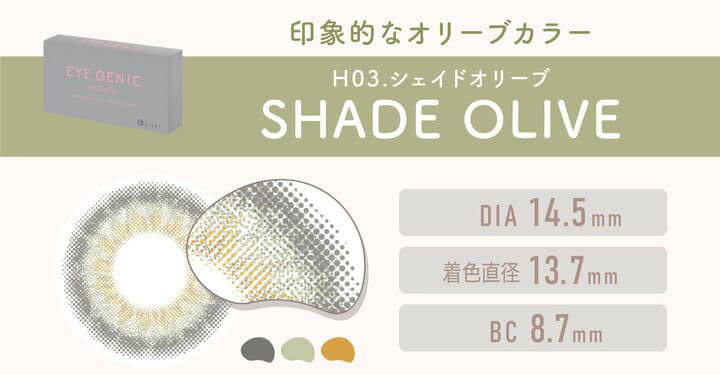 H03.SHADE OLIVE(シェイドオリーブ)は印象的なオリーブカラー,DIA14.5mm,着色直径13.7mm,BC8.7mm|エバーカラーワンデーモイストレーベル(EverColor1day MOIST LABEL)ワンデーコンタクトレンズ