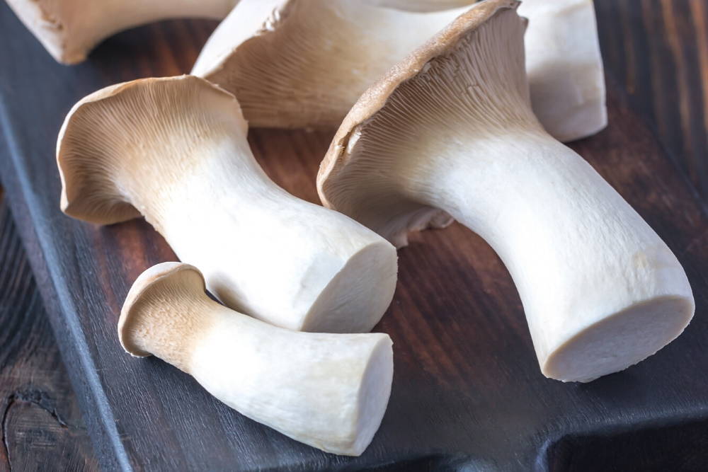 king trumpet mushrooms|functional mushrooms for weight loss and immunity