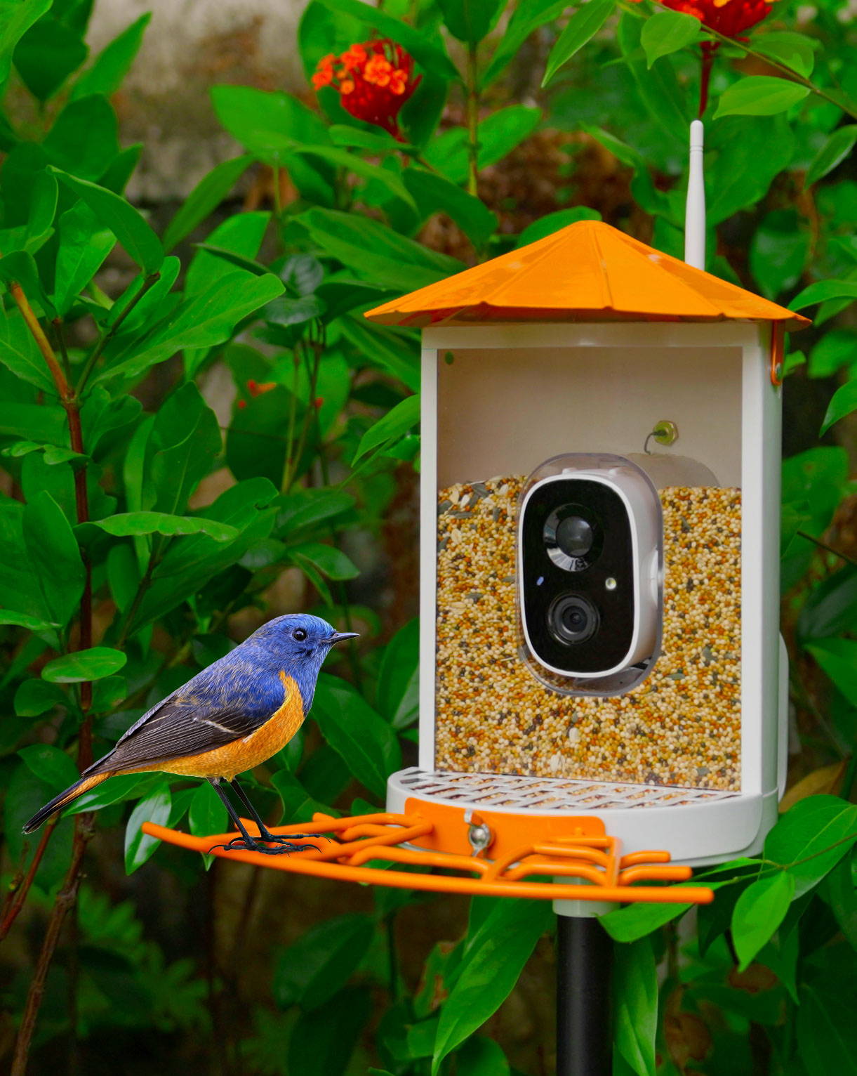 The First Full Metal Squirrel-Proof Smart Bird Feeder