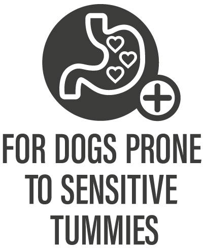 Nature's Harvest Dog Treats Sensitive Tummies Icon