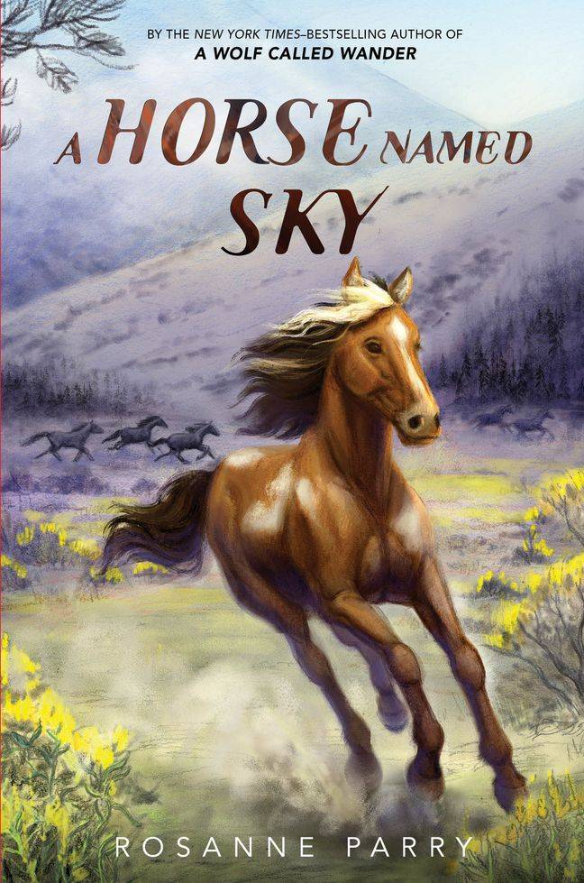 cover of a horse named sky by rosanne parry