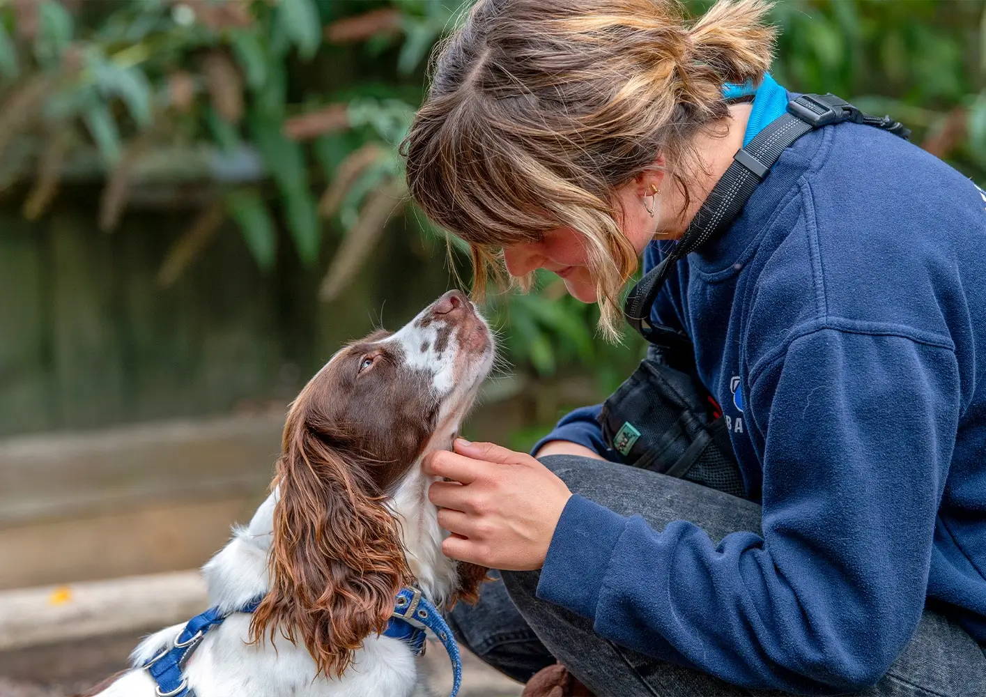 Behind the Scenes at Battersea’s London Centre