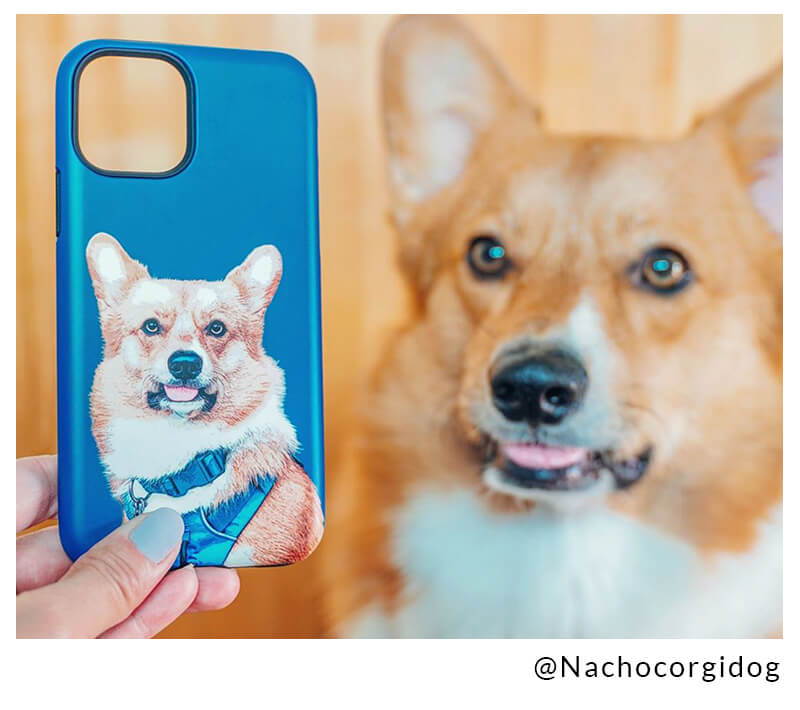 corgi on a phone case