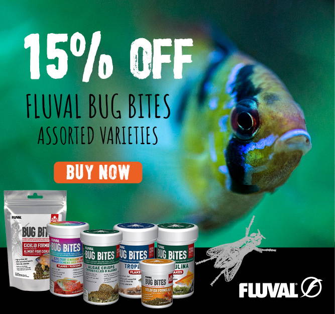 15% off Fluval Bug Bites