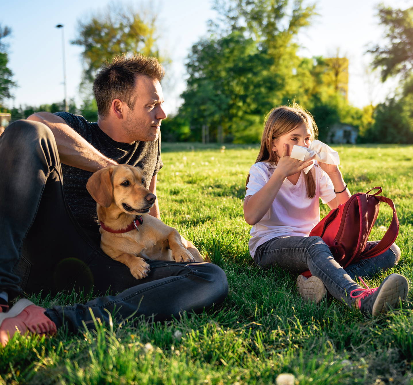 Young girl with pollen allergies blowing her nose on a tissue sitting on the grass on a summer day with her dad and their dog