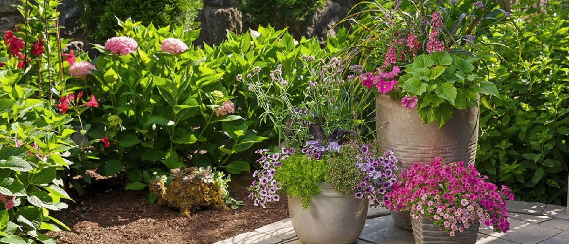 Backyard garden filled with Meteor Shower®, Angelface® Perfectly Pink, Superbells® Blue Moon Punch™, Sweet Caroline, Sweet Potato Vine, Superbells® Double Orchid, Lemon Coral®, Superbells® Sweet Tart™