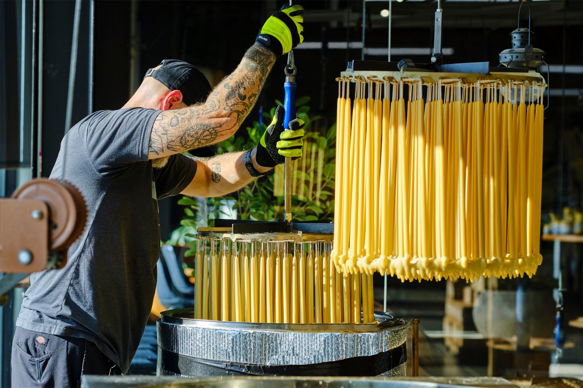 A Bluecorn candlemaker in Montrose, Colorado hand-dipping beeswax tapers