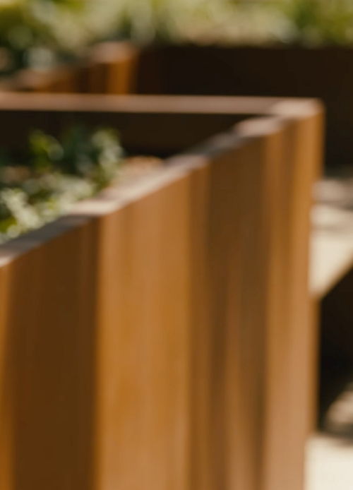 Blurry image of garden planters with greenery.