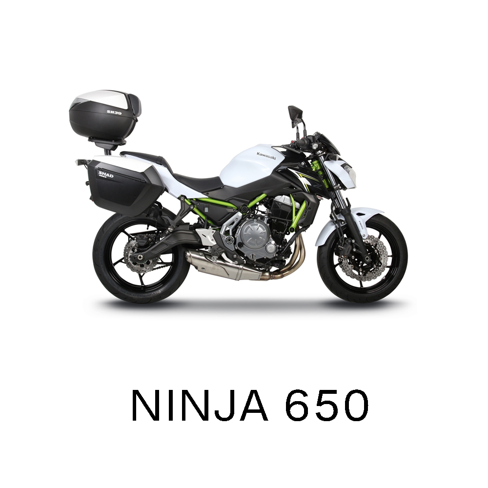 Ninja 650