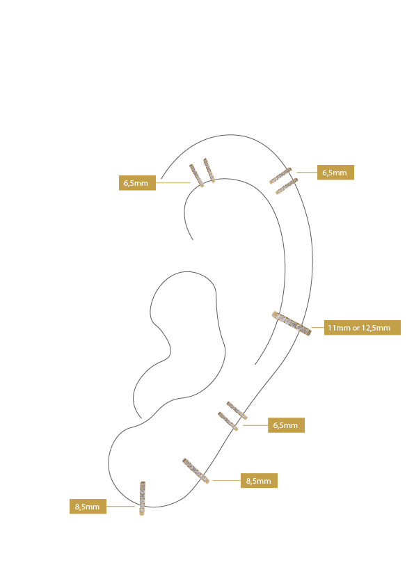 PIERCING TYPES CHART HUGGIES