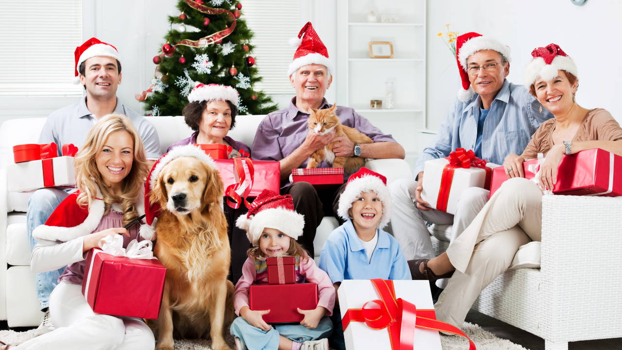 Pet Christmas photos with family