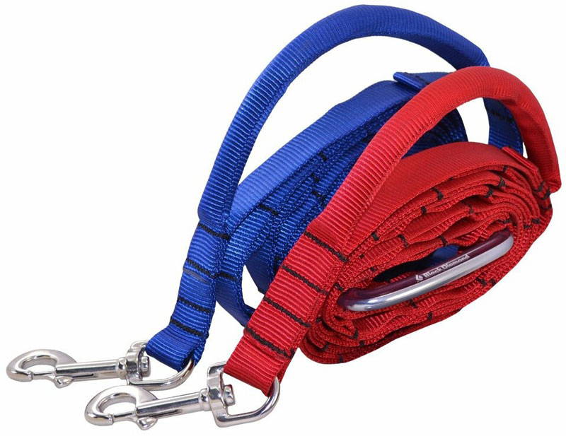 Red and blue nylon leashes with bolt snaps