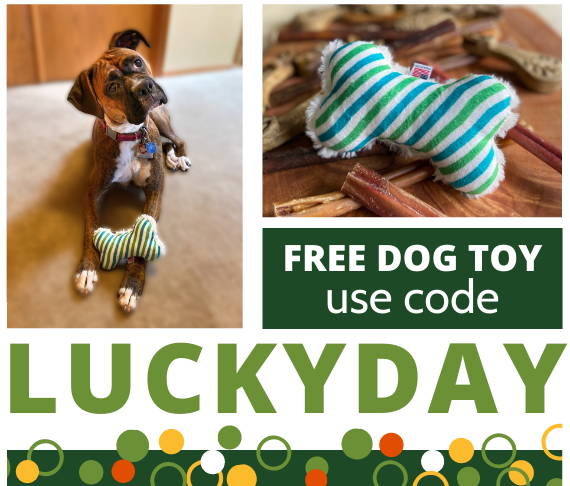 Photo of boxer dog with bone shaped dog toy, with a green border with colored circles. Text: GIFT WITH PURCHASE. Use code LUCKY DAY for your free dog toy!