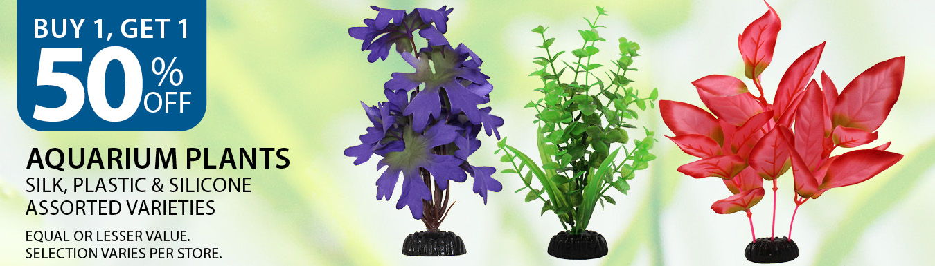 Buy 1, get 1 50% off Aquarium Plants. Equal or lesser value. Silk, Plastic and Silicone. Excludes live plants. Selection varies per store