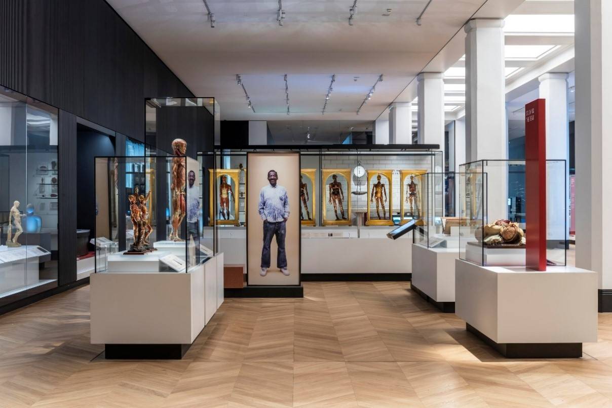 The Medicine and Bodies gallery in Medicine: The Wellcome Galleries © Science Museum Group