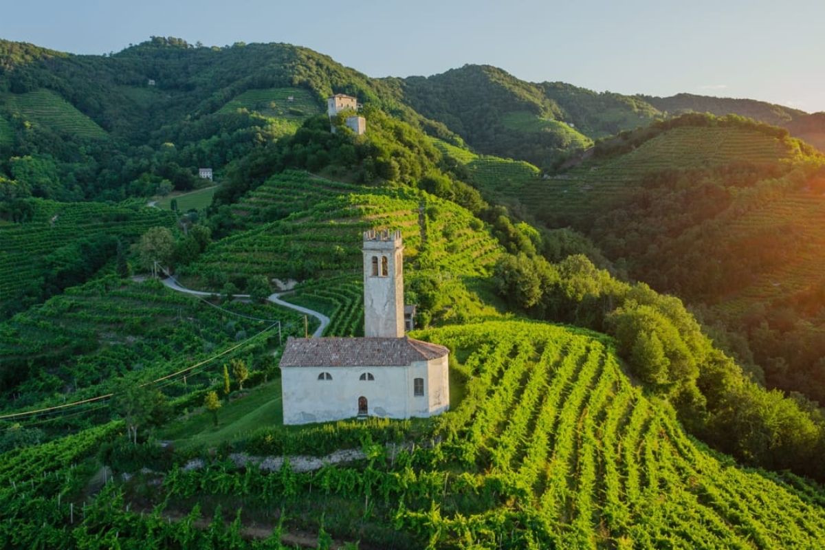 Scenic vineyard landscape with a white building and rolling green hills.