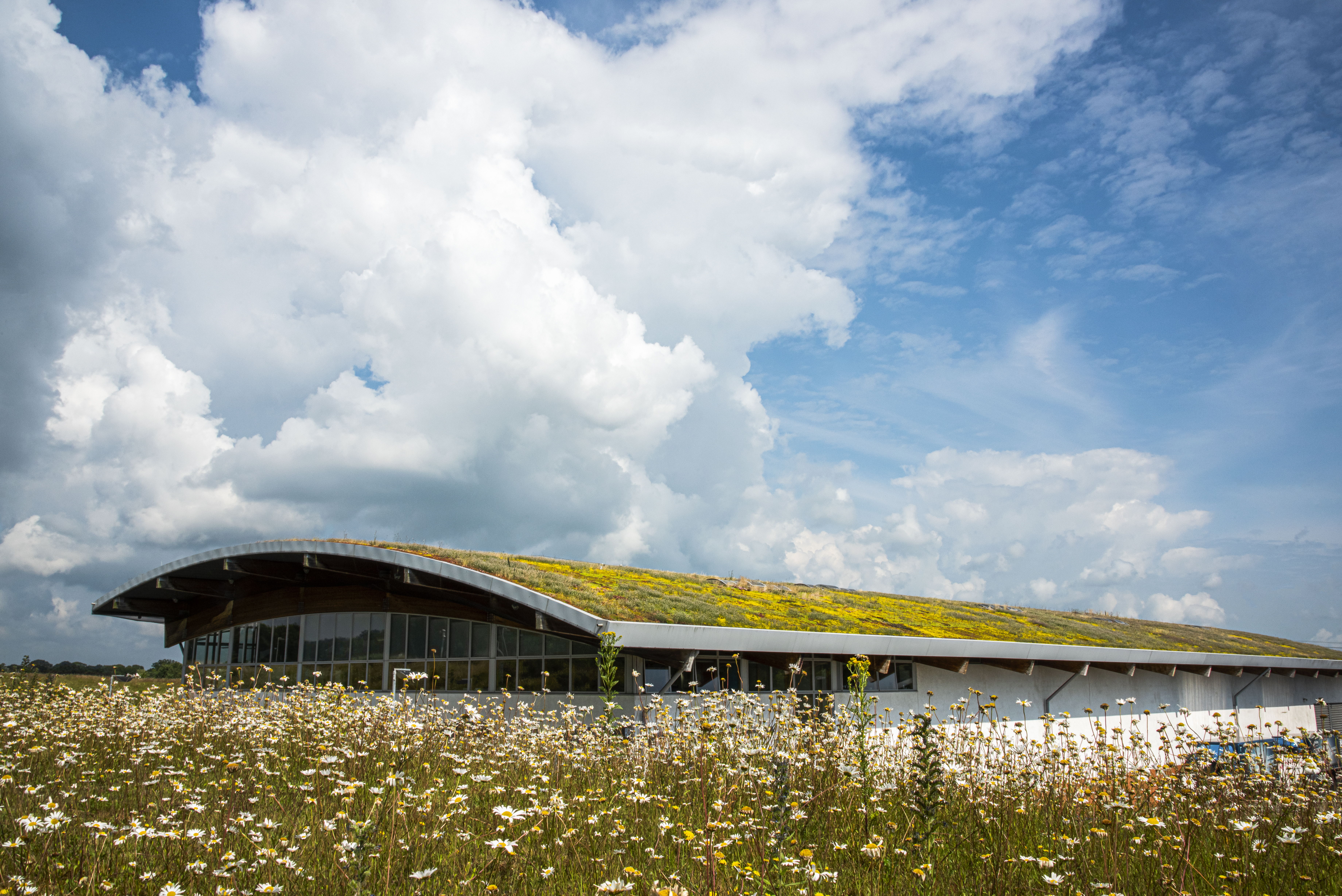 Modern building with a green roof surrounded by wildflowers and blue sky.