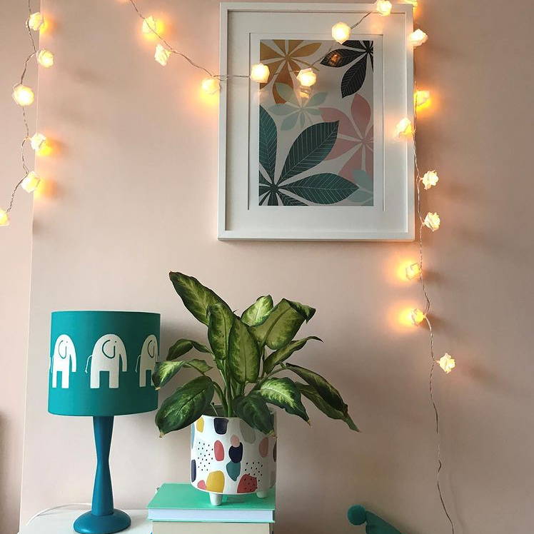 Rose fairy lights illuminated and draped across picture frame in bedroom