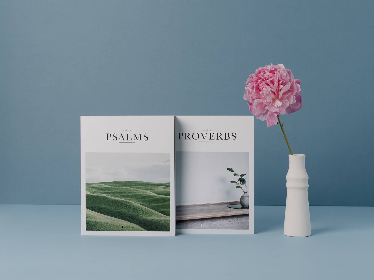 Alabaster Psalm and Proverbs with pink flower and blue background