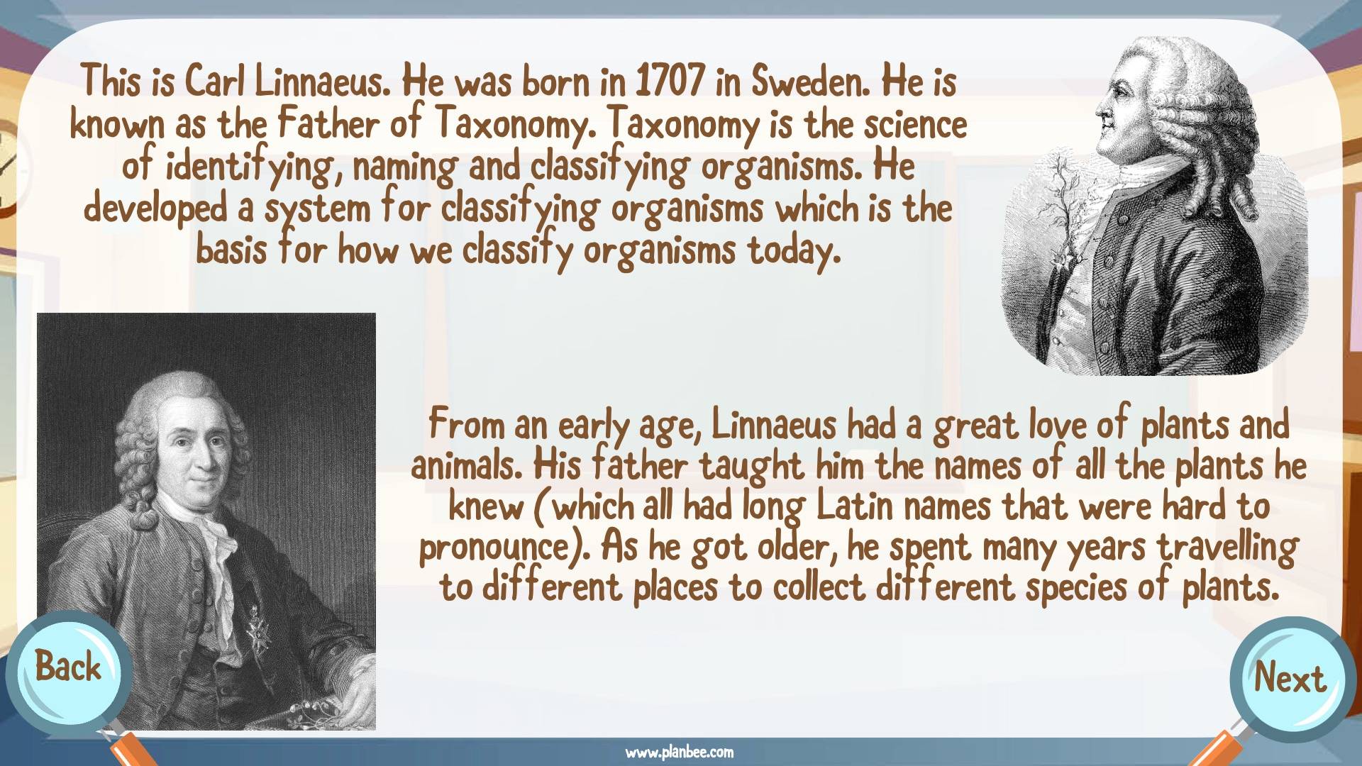 Carl Linnaeus KS2 Lesson Pack And Facts From PlanBee