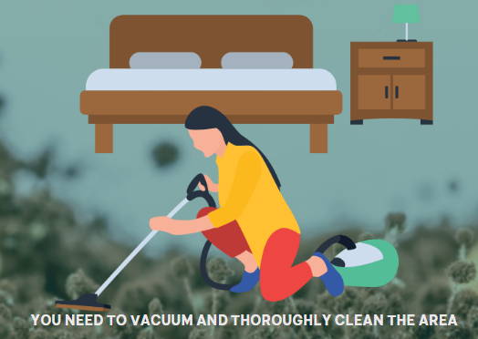 How to clean the room from mold