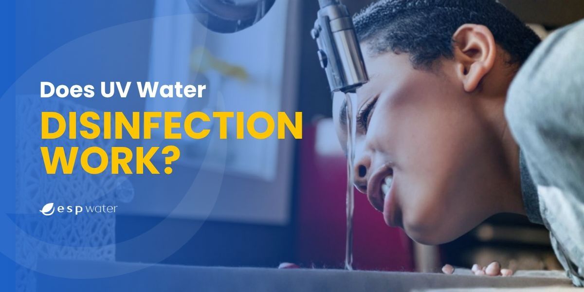 do uv sterlizers really work - boy drinking filtered water