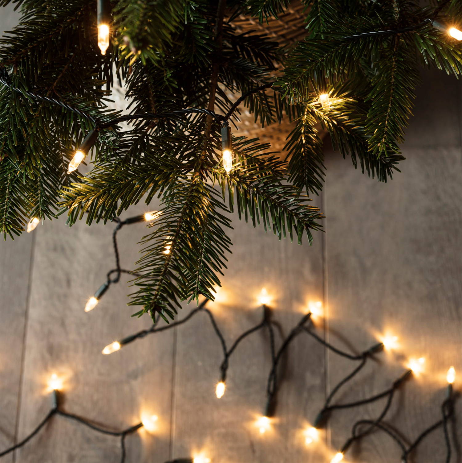 white traditional LED lights .