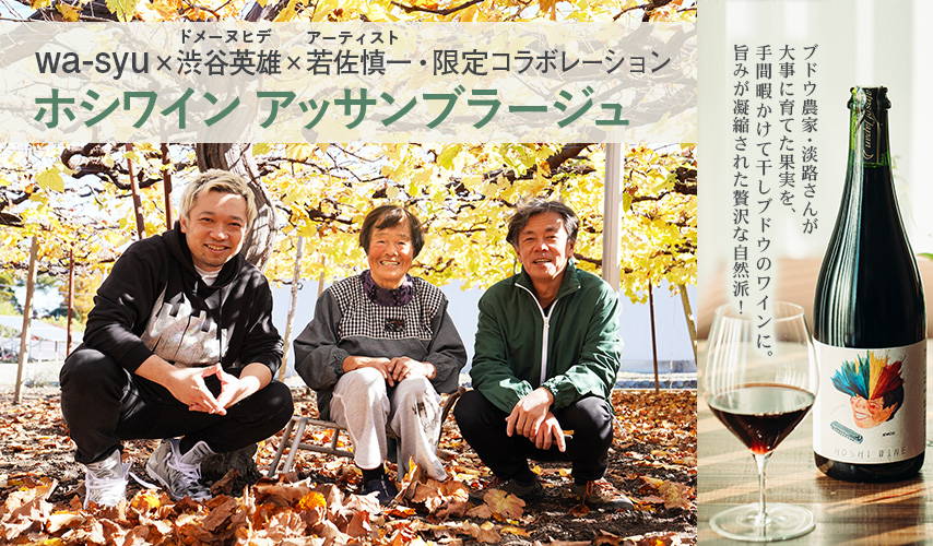 日本ワイン3本セット② ドメーヌ長谷 さっぽろ藤野 グレープシップ オマケあり オマケあり グレープシップ ドメーヌ長谷 日本ワイン3本セット② さっぽろ藤野