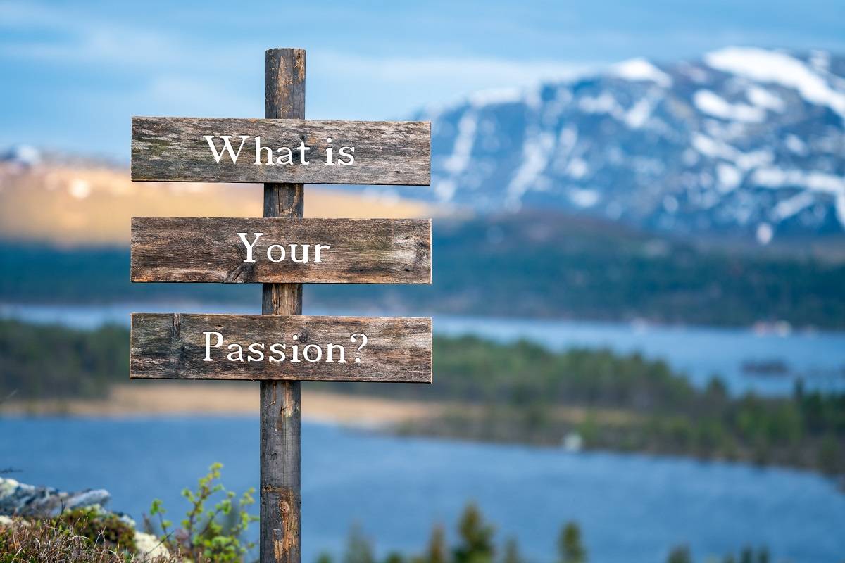 Picket signs spelling out 'What is Your Passion?'