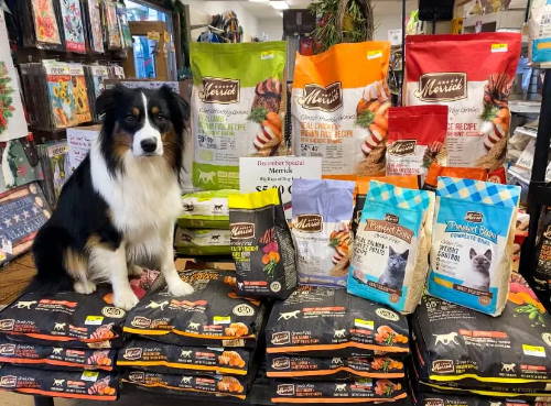 Marty with Merrick Pet Food