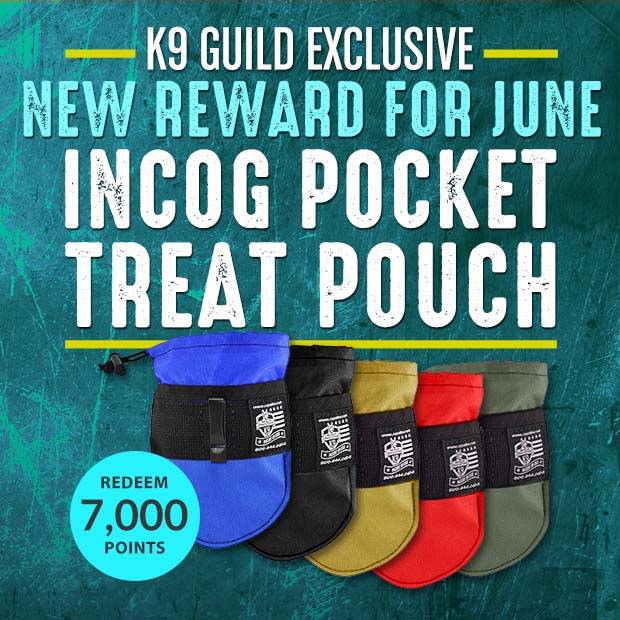 June Rotating Reward - Incog Pocket Treat Pouch