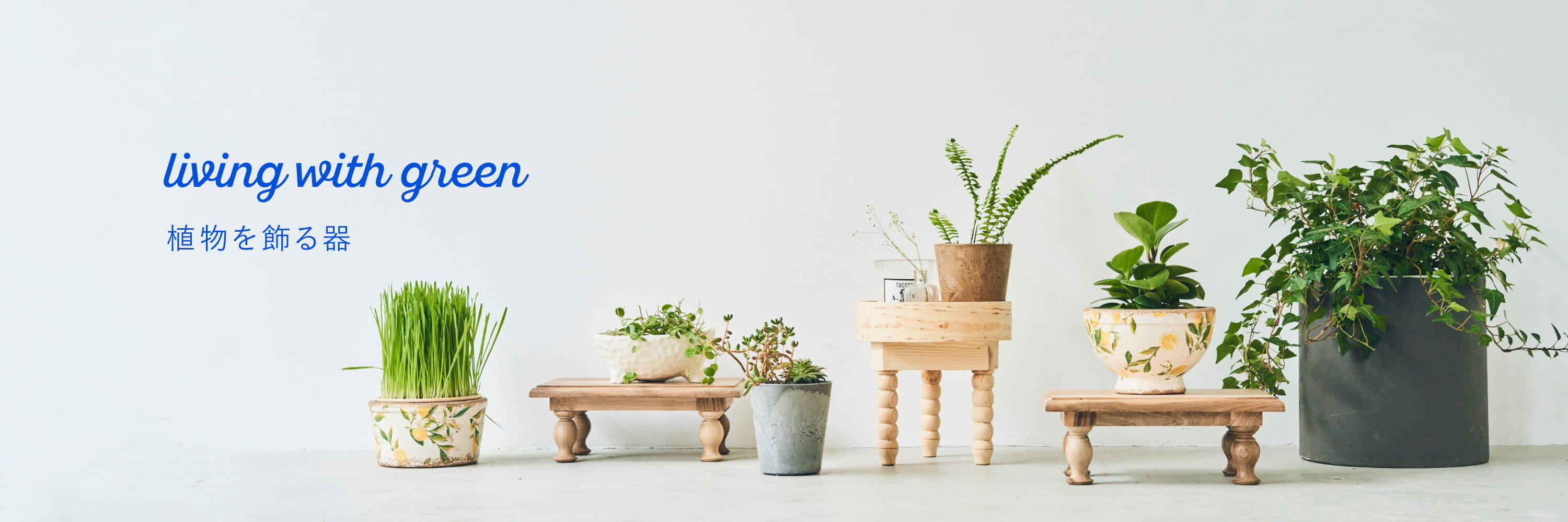 特集】植物を飾る器 | オルネ ド フォイユ 公式オンライン 特集】植物を飾る器 | オルネ ド フォイユ 公式オンライン