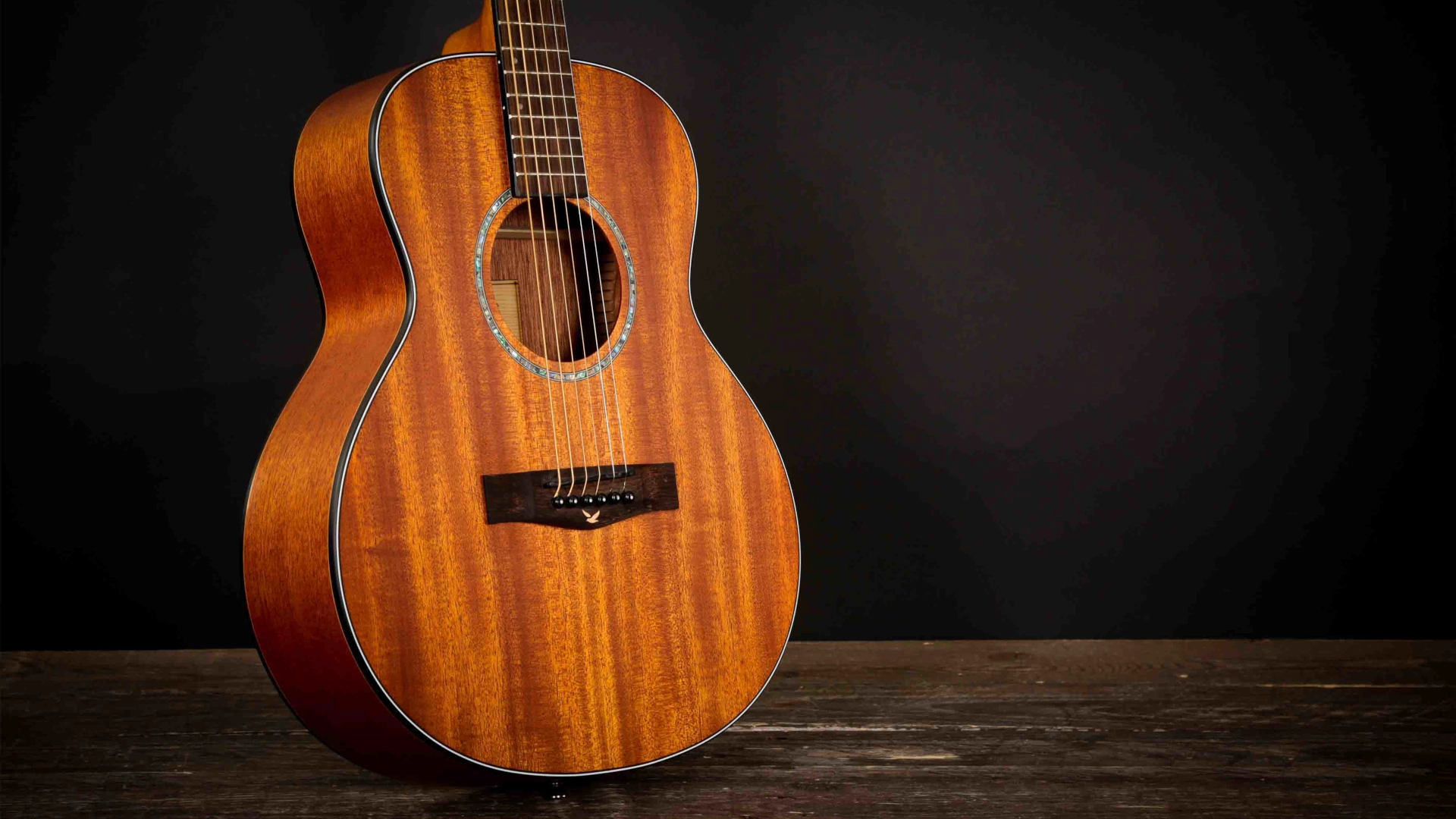 EastCoast acoustic guitar with a wooden finish on a dark background.