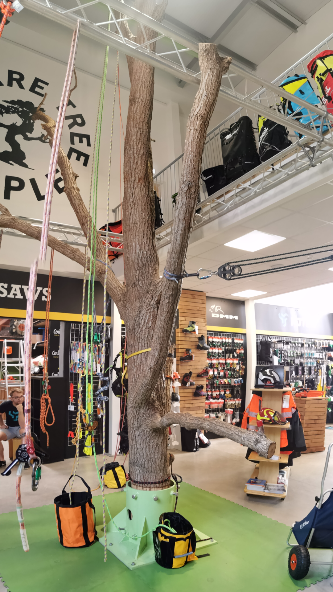 Indoor tree with climbing gear and equipment displayed around it.
