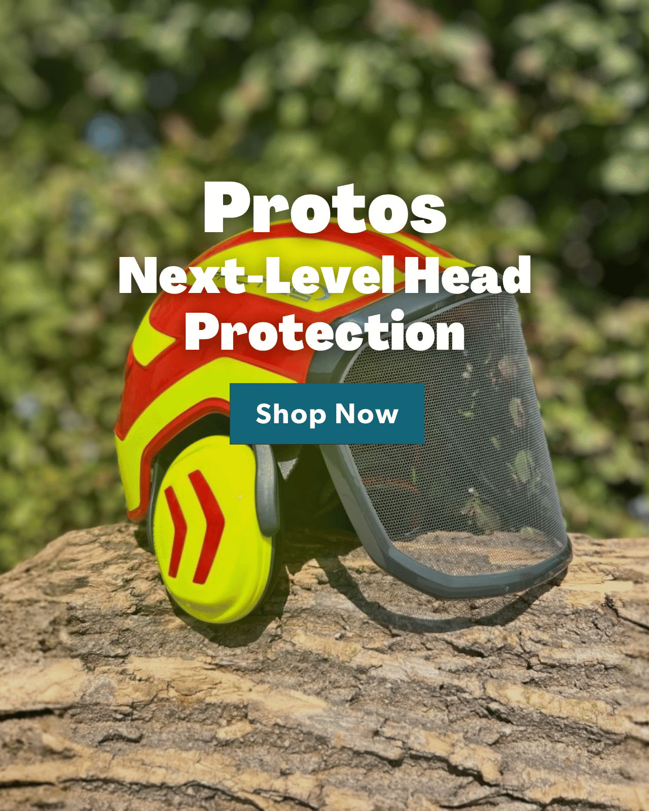 shop protos Now