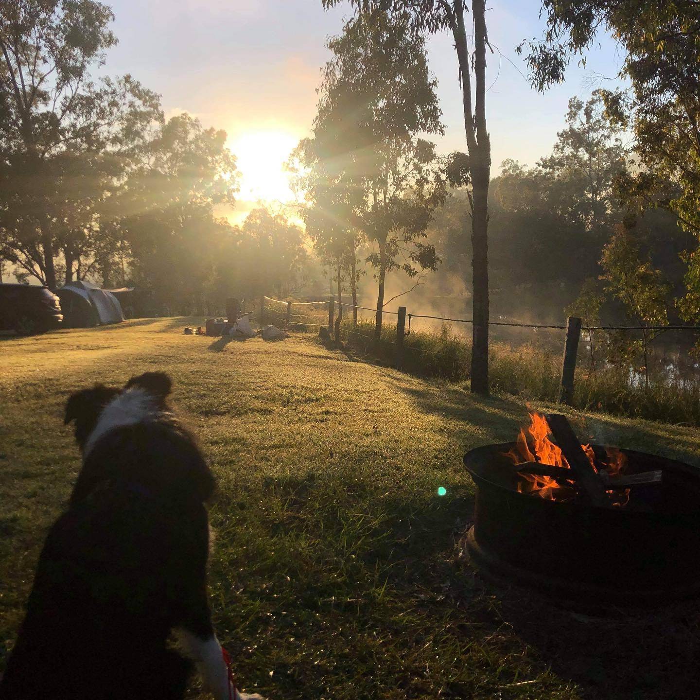 Lake Maroon, Dog Friendly Camping QLD